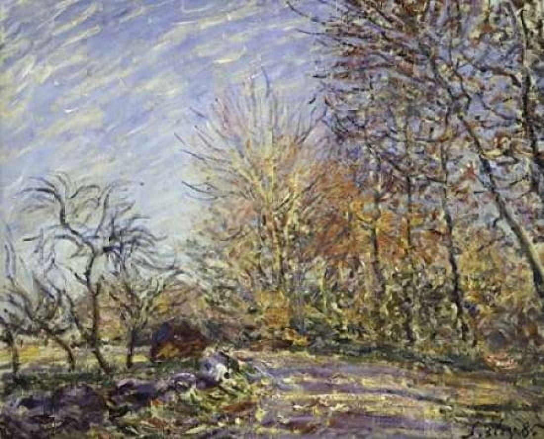 Outskirts of the Fontainbleau Forest Canvas Art - Alfred Sisley (20 x 24)
