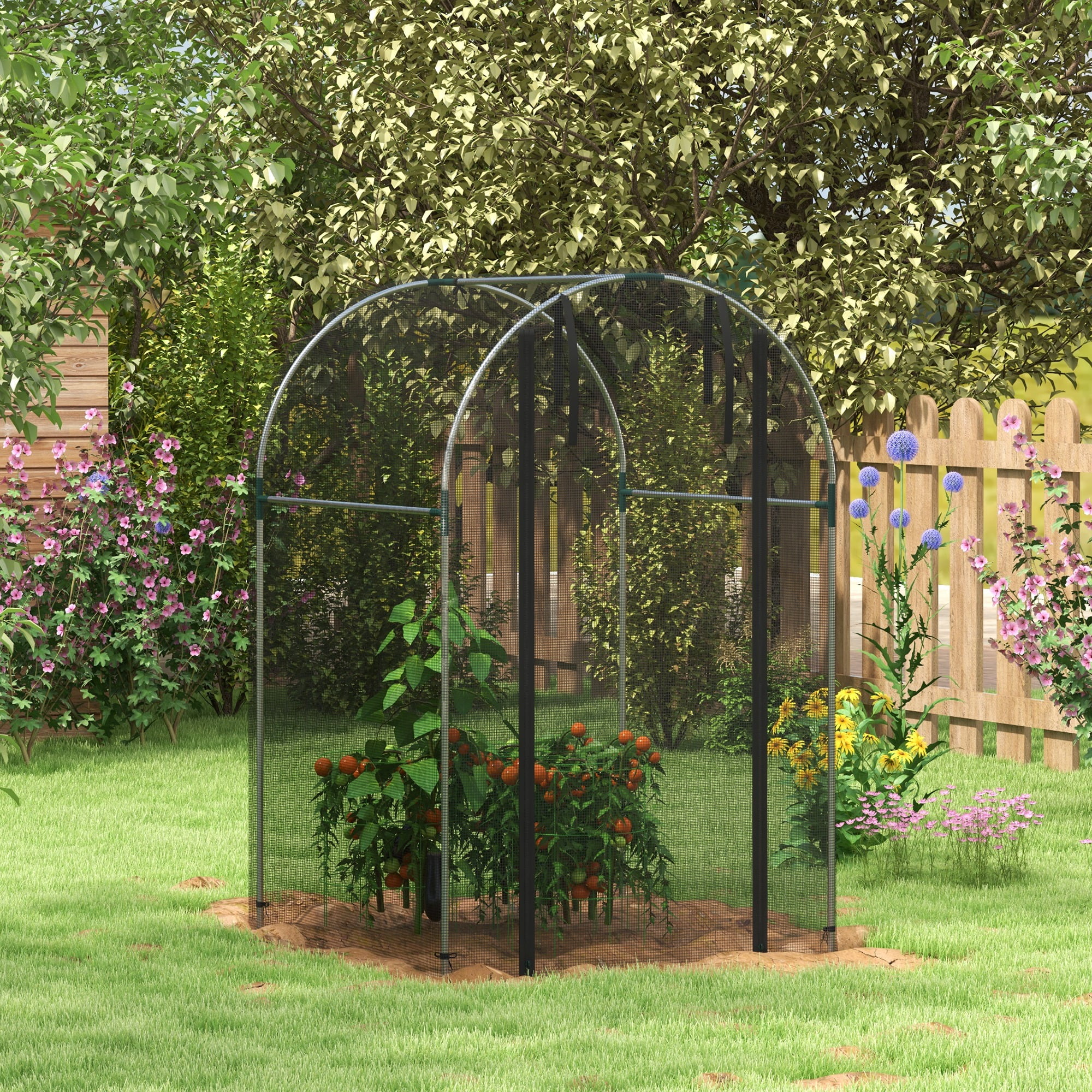 Black Steel 4' x 4' Curved Roof Plant Protection Tent