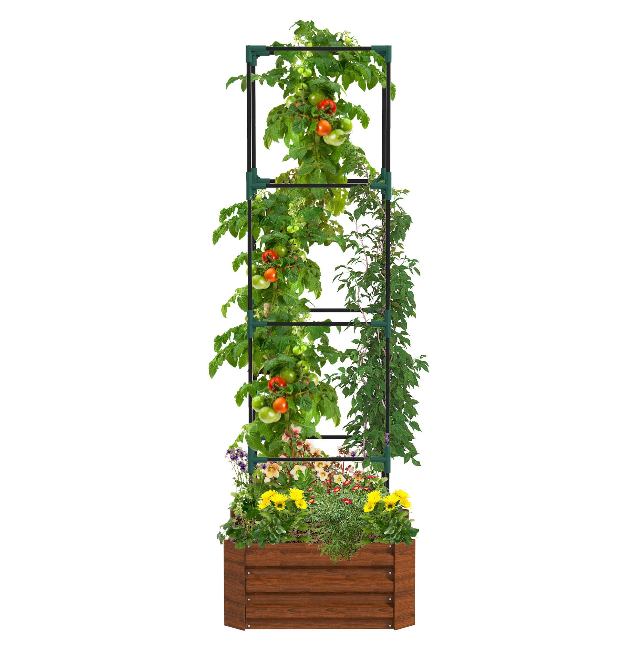Outsunny Galvanized Raised Garden Bed, 24" x 24" x 11.75" Outdoor Planter Box with Trellis Tomato Cage and Open Bottom for Climbing Vines, Vegetables, Flowers in Backyard, Garden, Patio, Brown