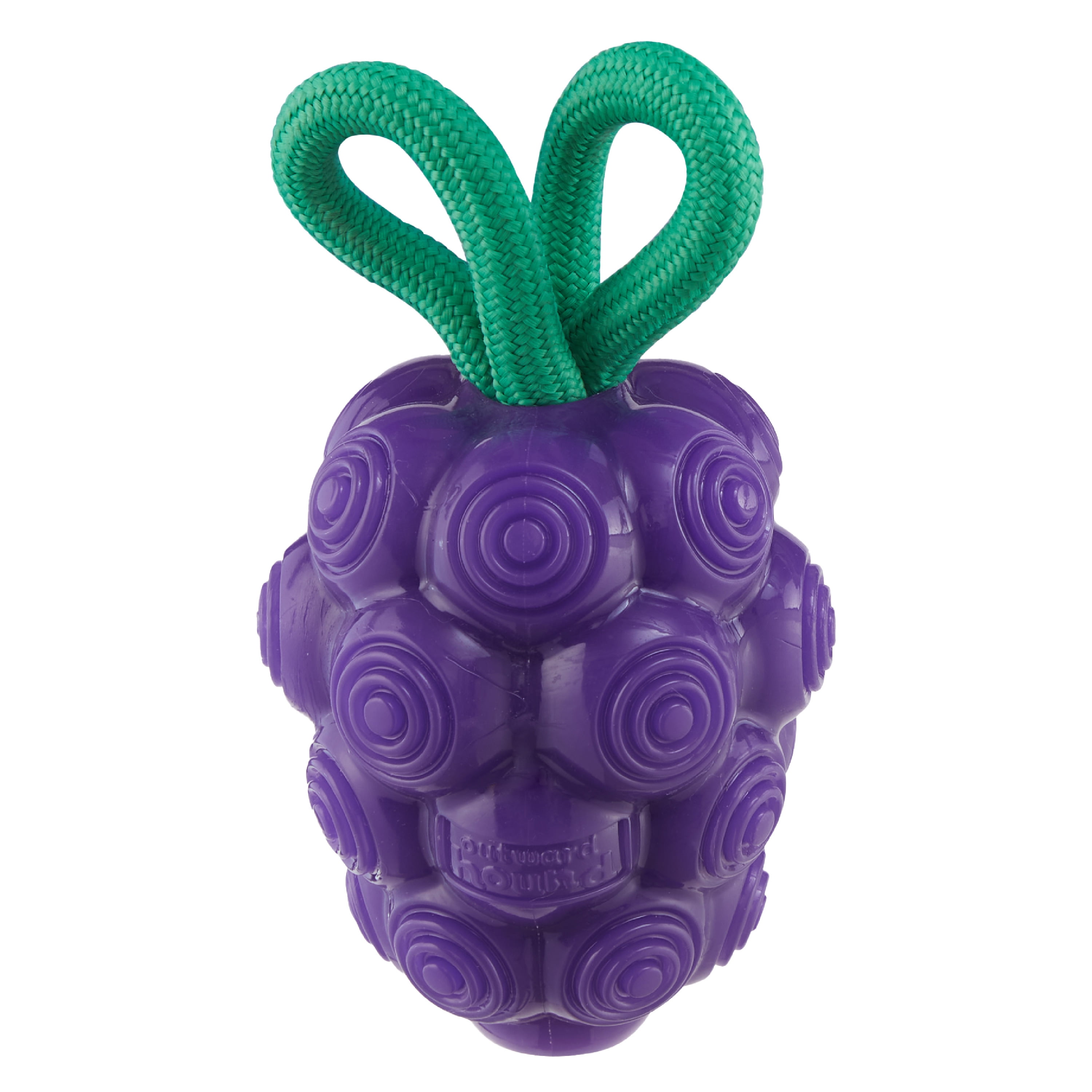 Purple Dental Chew and Treat Dispenser Dog Toy