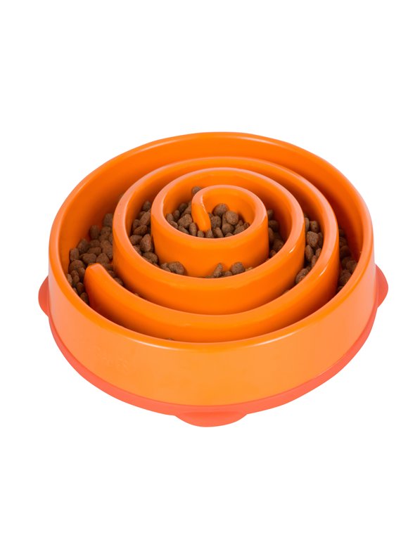 Slow Dog Feeders in Dog Bowls and Accessories