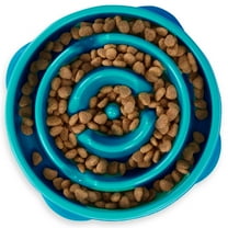 Outward Hound Slow Fun Feeder Bowl, Slow Feeder Dog Bowl, Turquoise, Medium/Small