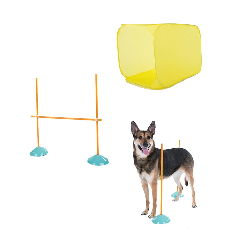 Outward Hound ZipZoom Indoor Dog Agility Training Kit for Dogs Multi One Size Walmart
