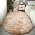 thumbnail image 1 of Oval Area Rug, Bedroom Rug, Dorm Rug, Bedside Rug, Oval Bathroom Rug, Soft Fluffy Fuzzy Bedside Mat, Soft Oval Throw Rugs Carpet, Non-Slip Decorative Carpet 23.6x15.7 Inch 1Pcs, 1 of 5