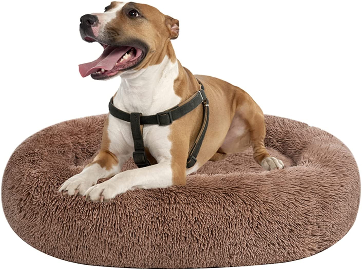 Segle Luxus-Shag Donut Höhlenbett Für Hunde – Weich, Kuschelig, Waschbar, 55x55x18 Cm (Größe S)