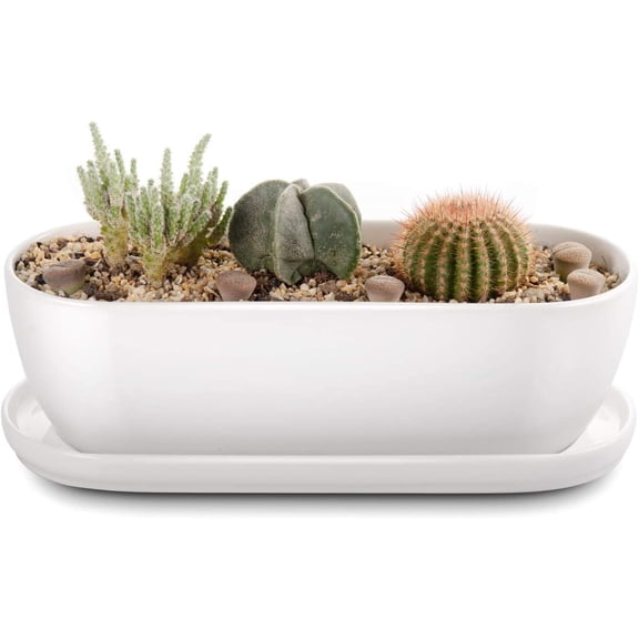 Oval Ceramic Planter Pot with Drainage Hole Saucers 11 Inch Succulents Planter Home Decor for Indoor Outdoor Plants Herb Cactus with 3 Mesh Pads, Plants Not Included