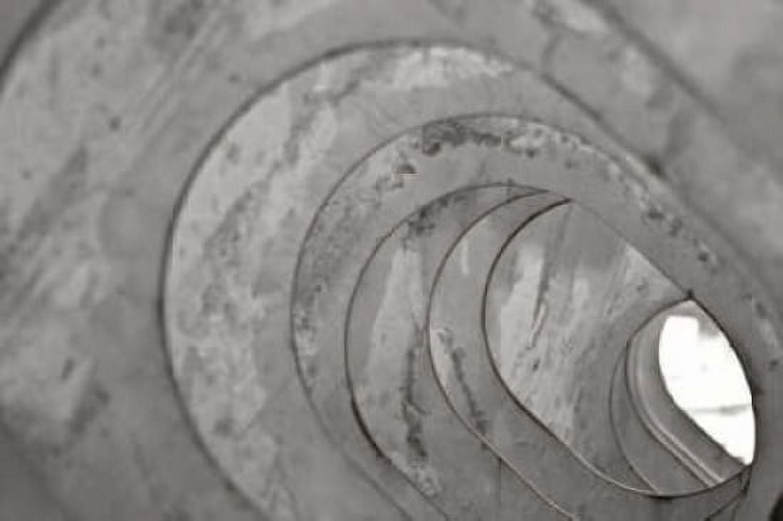 Oval Fractals V Canvas Art - Dana Styber (24 x 36)