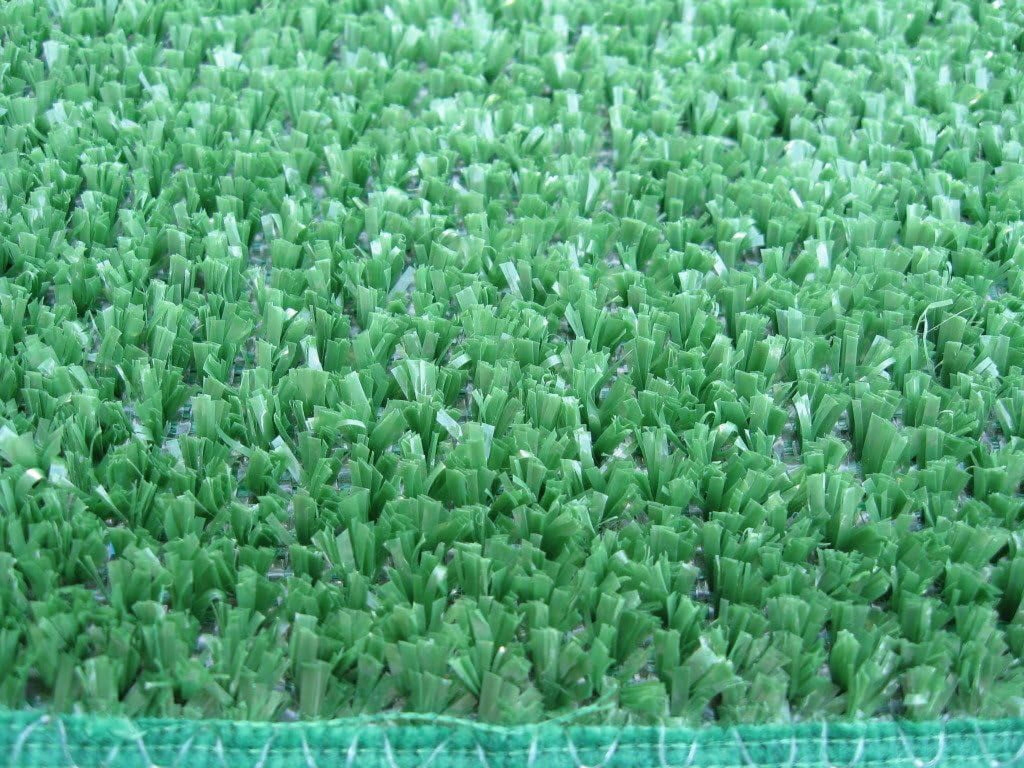 Oval Green 1/4" Thick 8 Oz. Artificial Grass Turf Carpet Indoor