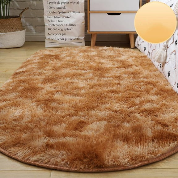 Oval Silk Rugs Mats Carpets Bedroom Fluffy Shaggy Soft Area Carpet Non-Slip Indoor Floor Carpet for Living Room, Kids Baby Girl Women Lady Dorm Home Decor Aesthetic comfortable to Put Feets on