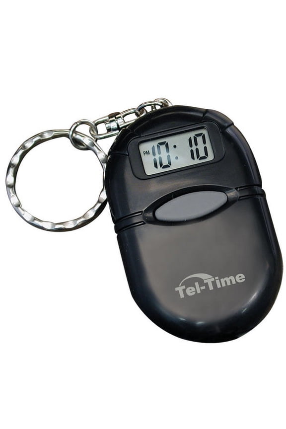 Oval Talking Keychain