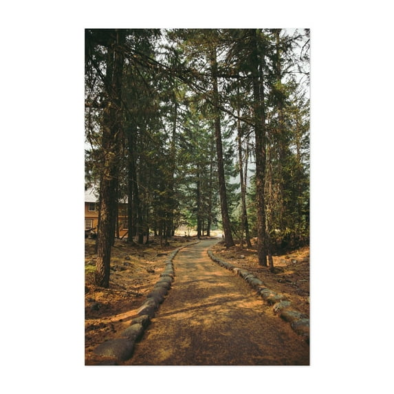 Over Here - Washington Photography Forest Nature Woodland Scenic Rustic Autumn Unframed Wall Art Print 20 x 28 inches