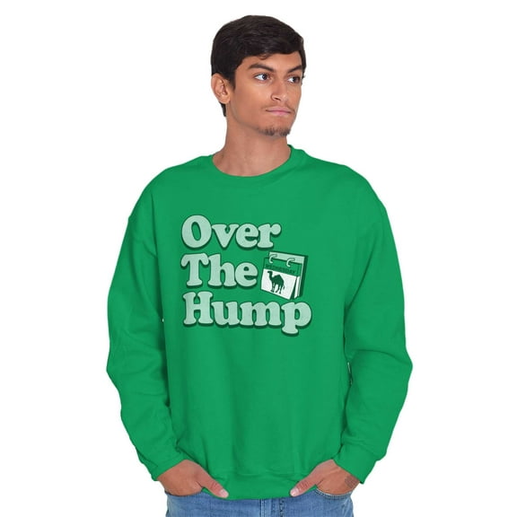 Over Hump Camel Guess What Day It Is Unisex Plus Fleece Graphic Sweatshirt Brisco Brands 2X