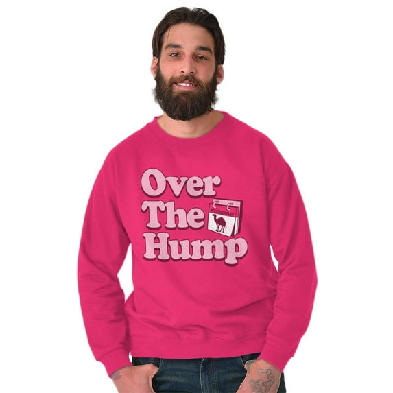 Over Hump Camel Guess What Day It Is Unisex Plus Fleece Graphic Sweatshirt Brisco Brands 2X