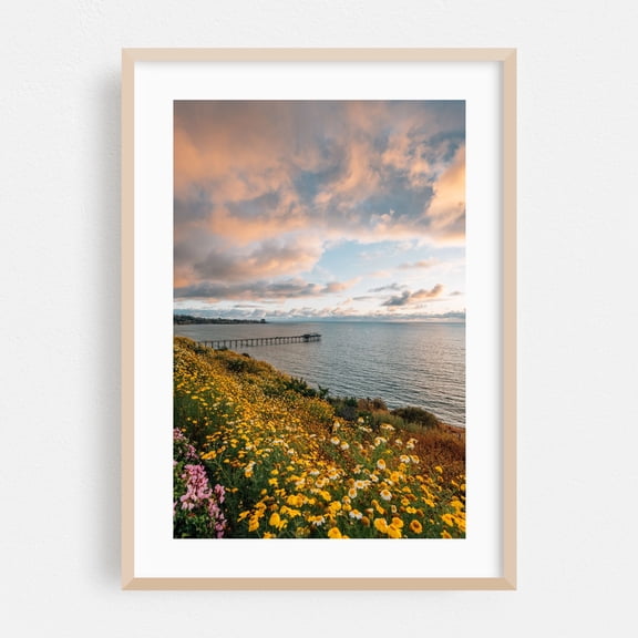 Over Scripps 01 - La Jolla California Photography Landscape Coast Flowers Scenic Ocean Nature Sunset Oak Framed Wall Art Print 5 x 7 inches