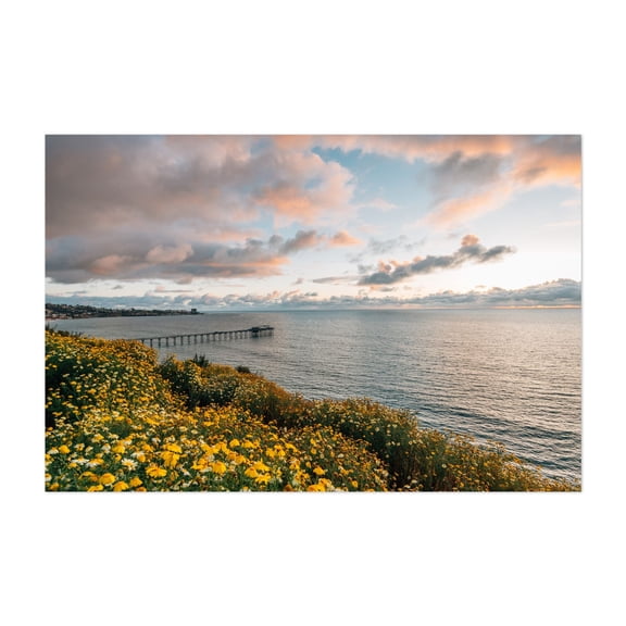 Over Scripps 02 - La Jolla California Photography Coast Ocean Sunset Flowers Landscape Scenic Unframed Wall Art Print 20 x 28 inches