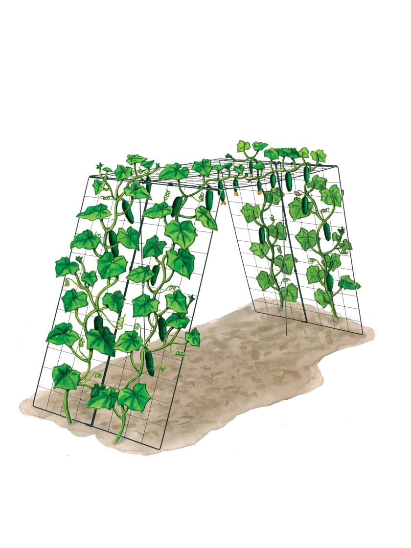 Green Powder-Coated Steel Rectangular Garden Trellis