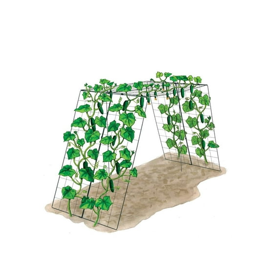 Over the Top Cucumber and Squash Trellis