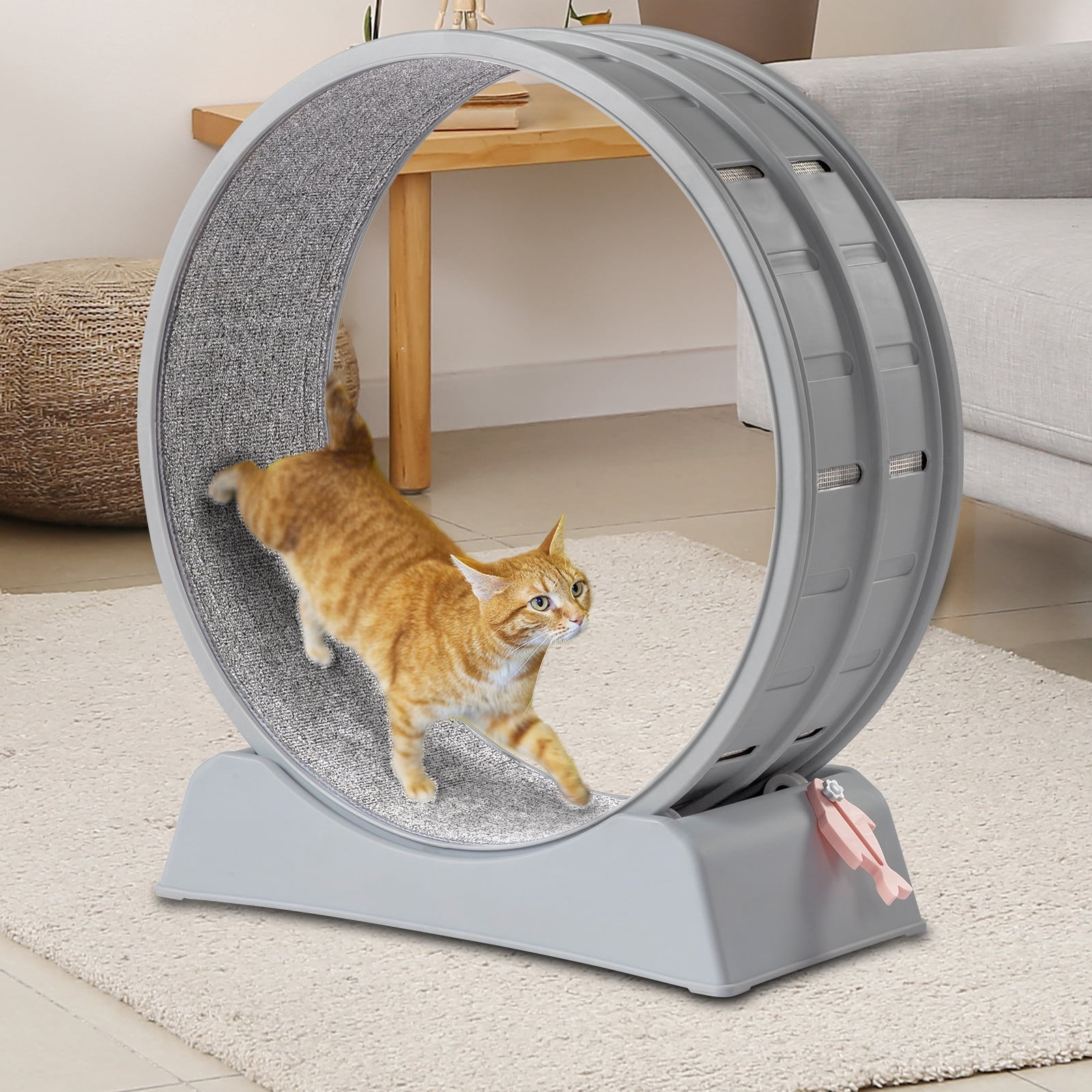 OverPatio 31-Inch Quiet Cat Wheel Exerciser Cat Treadmill, Cat Running ...