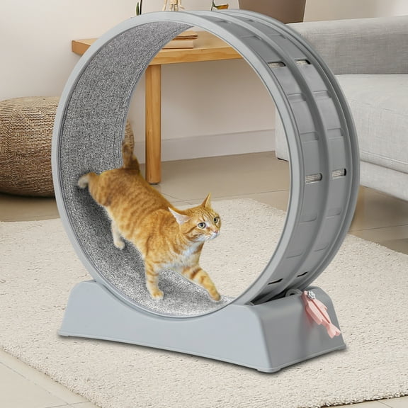 OverPatio  31-Inch Quiet Cat Wheel Exerciser Cat Treadmill, Cat Running Wheel for Cat's Weight Loss and Health