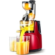 OverTwice Slow Masticating Juicer Cold Press Juice Extractor Apple Orange Citrus Juicer Machine