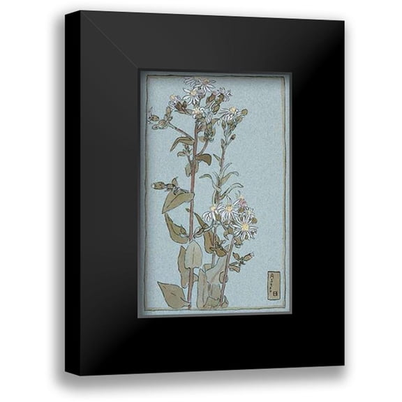 Overbeck, Hannah Borger 10x14 Black Modern Framed Museum Art Print Titled - Aster on Green Ground
