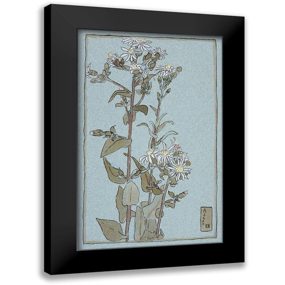 Overbeck, Hannah Borger 10x14 Black Modern Framed Museum Art Print Titled - Aster on Green Ground
