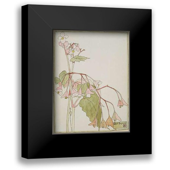 Overbeck, Hannah Borger 12x14 Black Modern Framed Museum Art Print Titled - Beef Begonia