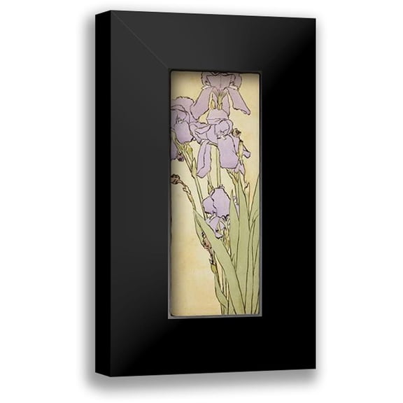 Overbeck, Hannah Borger 8x14 Black Modern Framed Museum Art Print Titled - Iris
