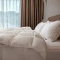 thumbnail image 1 of OverCloud Goose Down Comforter, Twin Size All Seasons Down Duvet Insert, Hotel Collection Comforter Ultra Soft 700+ Fill Power Down Proof Duvet Insert (90"x68"), 1 of 1