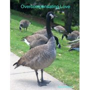 Overcompensating Love, (Paperback)