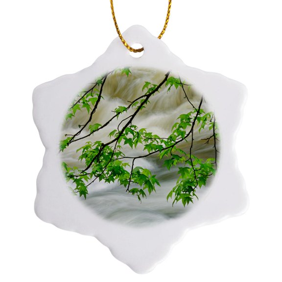 3drose, Overhanging Maple Tree, Middle Prong, Great Smoky Mountains, Tennessee, 3 inch Snowflake Porcelain Ornament