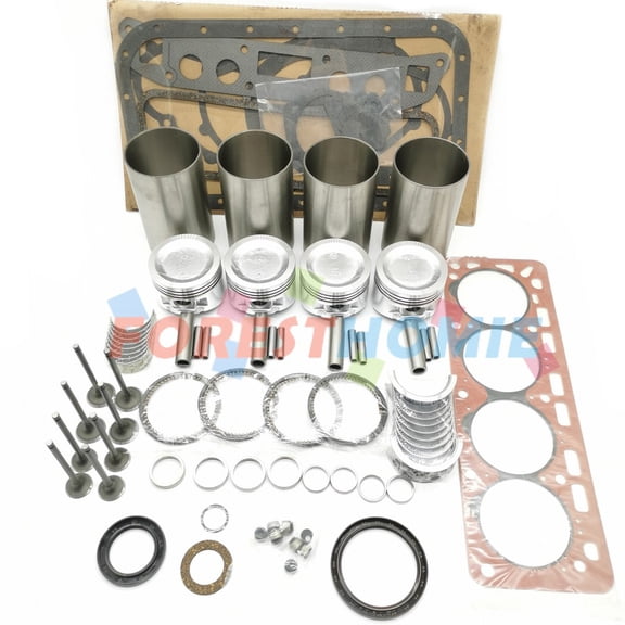Overhaul Rebuild Kit 12033-60K00 For Nissan H25 Engine TCM Forklift Truck