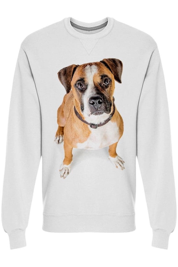 Overhead Photo Of Boxer Sweatshirt Men -Image by Shutterstock, Male Small