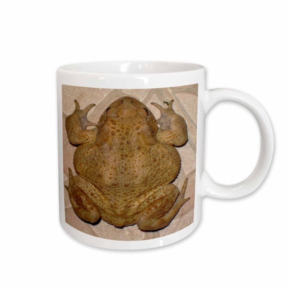 3drose, Overhead Photograph of a Bufo Bufo Toad, 11oz Mug
