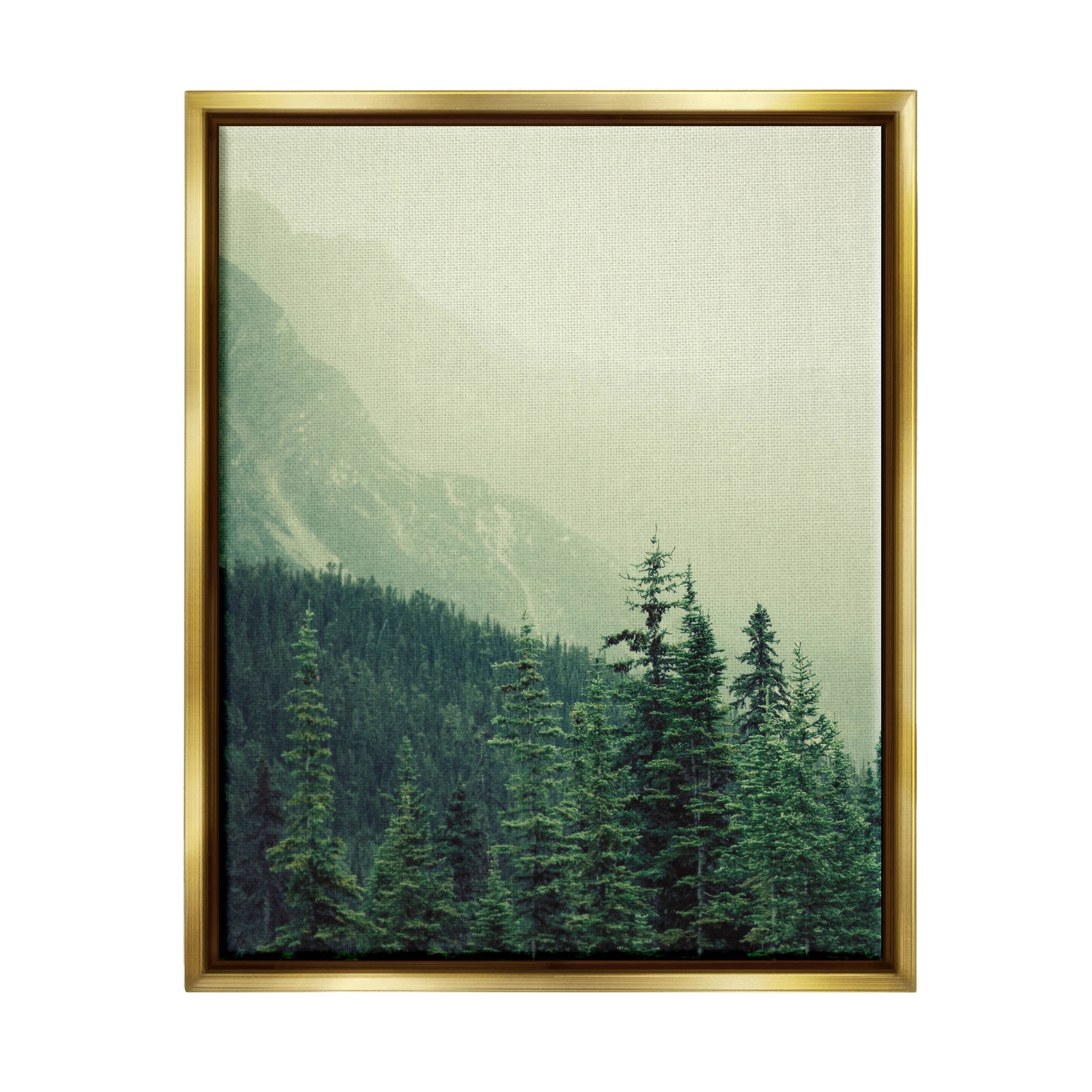 Overlooking Mountains Nature Landscape Photograph Metallic Gold Framed Art Print Wall Art