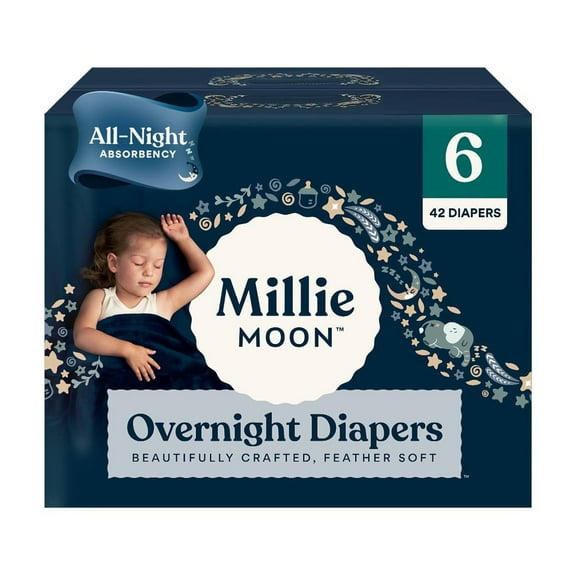 Overnight Diapers - Size 6 - 42ct