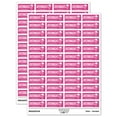 thumbnail image 1 of Overnight Mail Service Expedited Running Person Sticker Set - Hot Pink - Gloss Finish - 1.25" Mini, 1 of 7