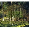 thumbnail image 1 of Overseas III, 1 of 1