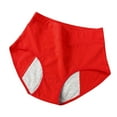 thumbnail image 1 of Oversized Menstrual Leak Proof Underwear For Women Period Panties High Waisted Underwear Incontinence Protective Briefs With Pockets, 1 of 4