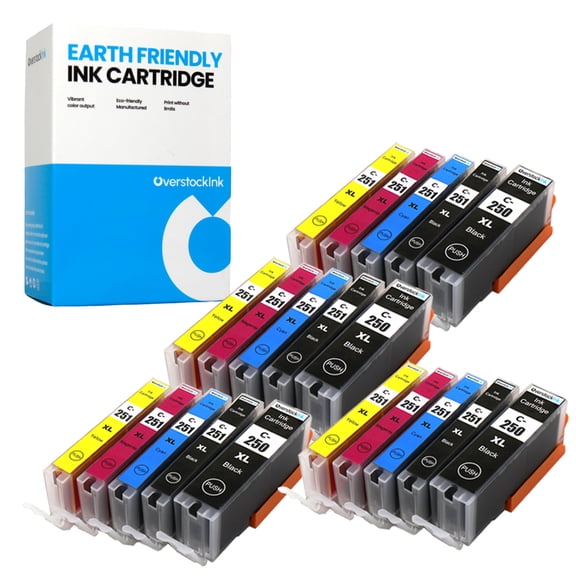 OverstockInk 20-Pack PGI-250 XL CLI-251 XL Ink Cartridges Compatible for Canon PGI-250XL CLI-251XL Ink Cartridge for PIXMA MG5420 MG5522 MG7120 MX920 (4 each PG Black, Black, Cyan, Magenta, Yellow)