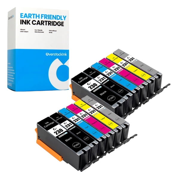 OverstockInk 230 231 Value Pack of 12 Ink Cartridges Compatible for Canon PGI-230 CLI-231 for PIXMA TS8820 (2 each PGBK, BK, C, M, Y, GY)