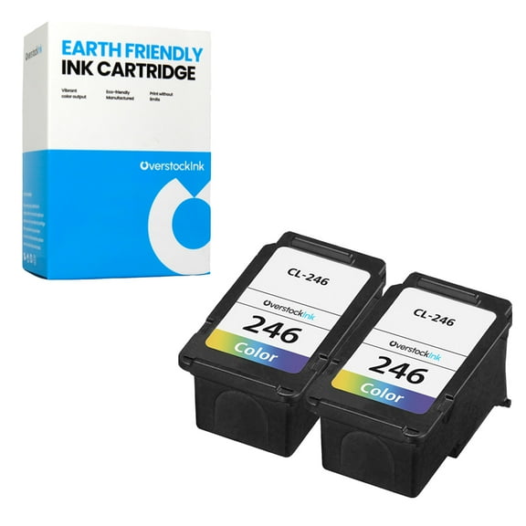 OverstockInk 246 Ink Cartridge Compatible for Canon CL-246 for PIXMA TR4650 (2 Tri-color)