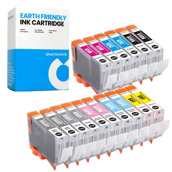 OverstockInk CLI-65 16PK Ink Cartridges Compatible for Canon 65 Ink for PIXMA PRO-200 (2 each BK, C, M , Y, PC, PM, GY, LGY)