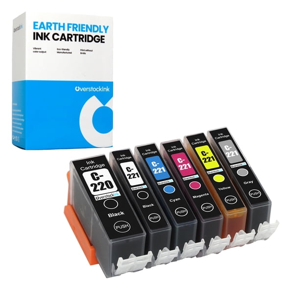 OverstockInk PGI-220 CLI-221 Ink Cartridges 6-Pack Compatible for Canon PGI-220 CLI-221 for PIXMA MP980 (1 each PGBK, BK, C, M, Y, GY)