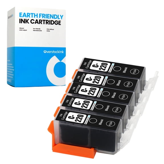 OverstockInk PGI220 Ink Cartridge Compatible for Canon PGI-220 for PIXMA MP540 (5 Pigment Black)