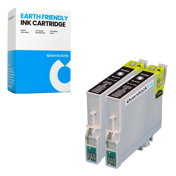 OverstockInk T060 Black Ink Cartridge Compatible for Epson 60 T060 for Stylus C88 (2 Black)