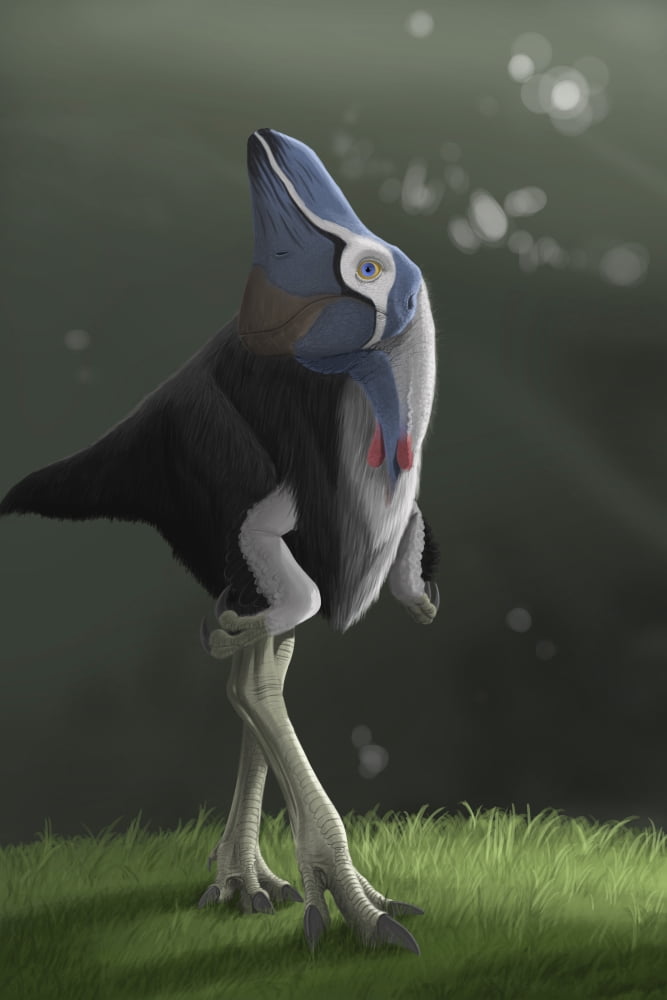 Oviraptor Canvas Art - Michele DessiStocktrek Images (12 x 18)