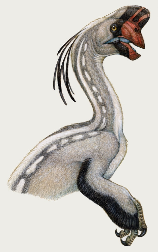 Oviraptor a small dinosaur that lived during the Cretaceous period Canvas Art - H Kyoht LutermanStocktrek Images (22 x 35)