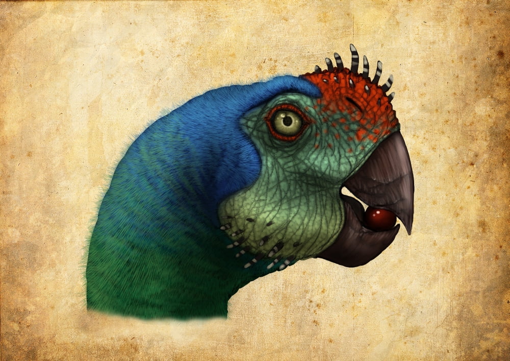 Oviraptor head detail Canvas Art - Alvaro RozalenStocktrek Images (17 x 12)