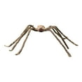 thumbnail image 1 of Ovzne Halloween Spider - Colorful Big Spider Decoration Prop, 49.21 Inch (125Cm) Trick Toy, Ideal For Outdoor Courtyard And Confidential Room, Perfect For Halloween Ambianc, 1 of 5